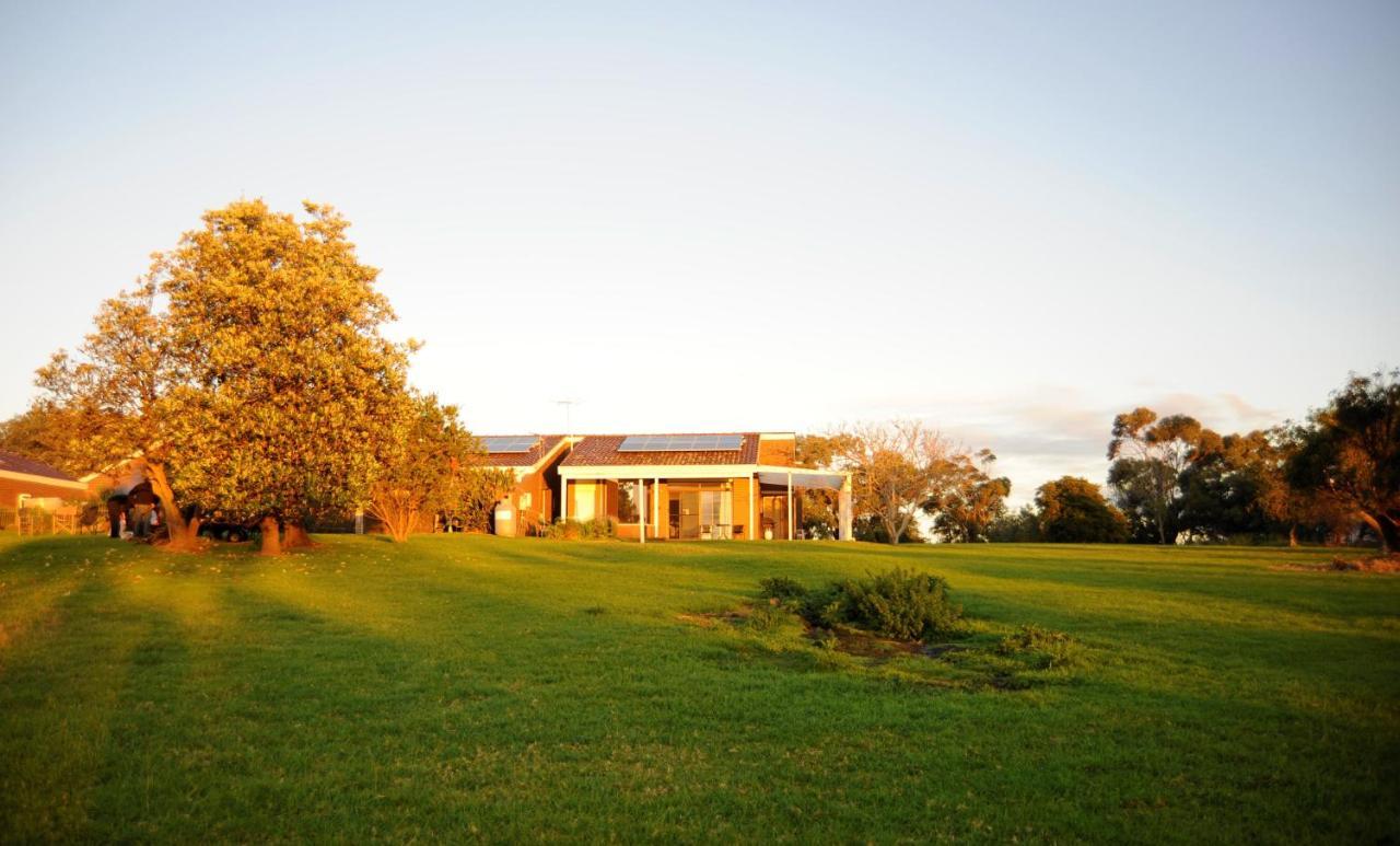 Banksia Park Estate Bed and Breakfast Newhaven Εξωτερικό φωτογραφία