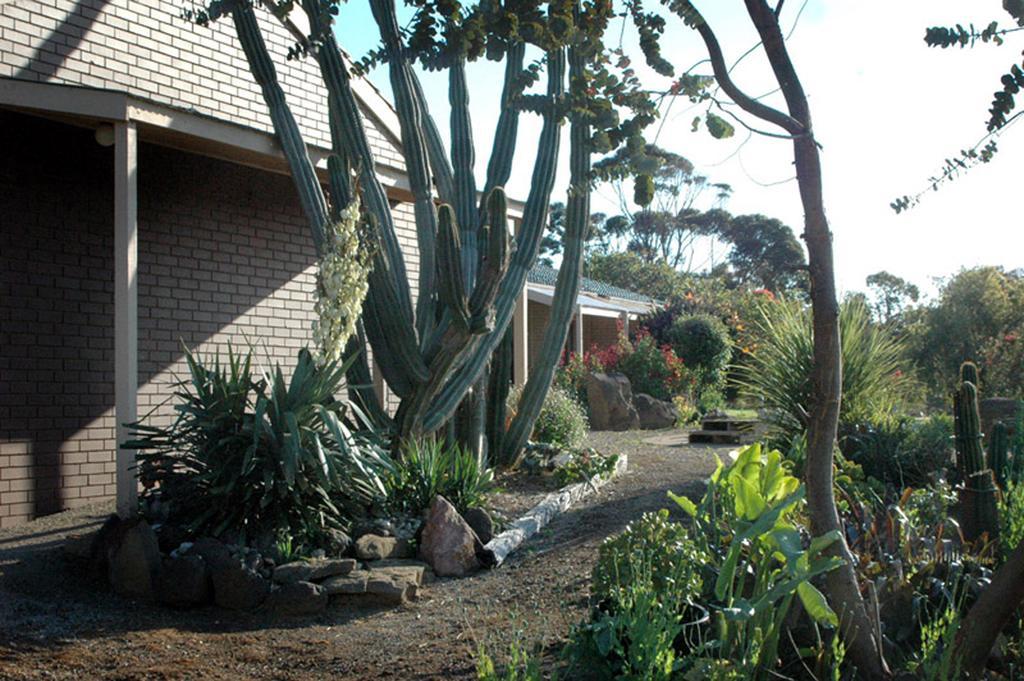 Banksia Park Estate Bed and Breakfast Newhaven Εξωτερικό φωτογραφία