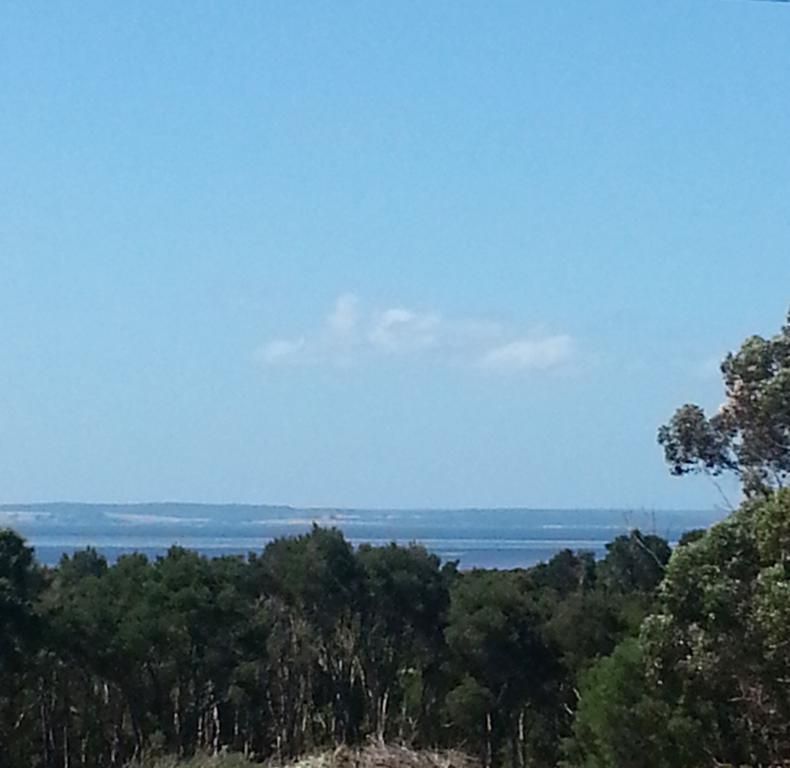Banksia Park Estate Bed and Breakfast Newhaven Εξωτερικό φωτογραφία